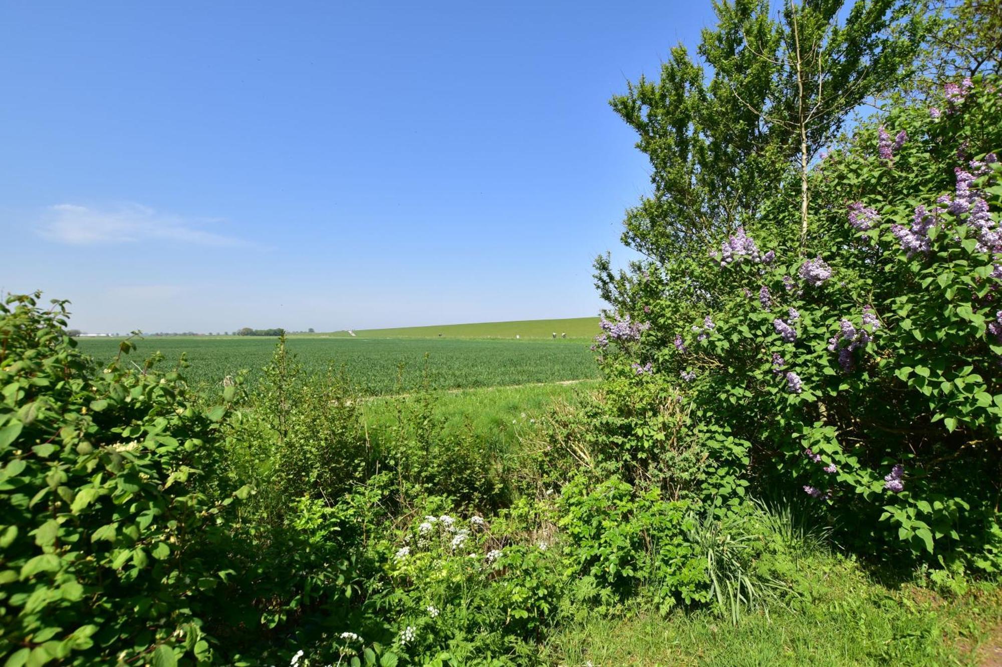 Haus Kuestersmatt Am Deich - Minsen Exteriör bild